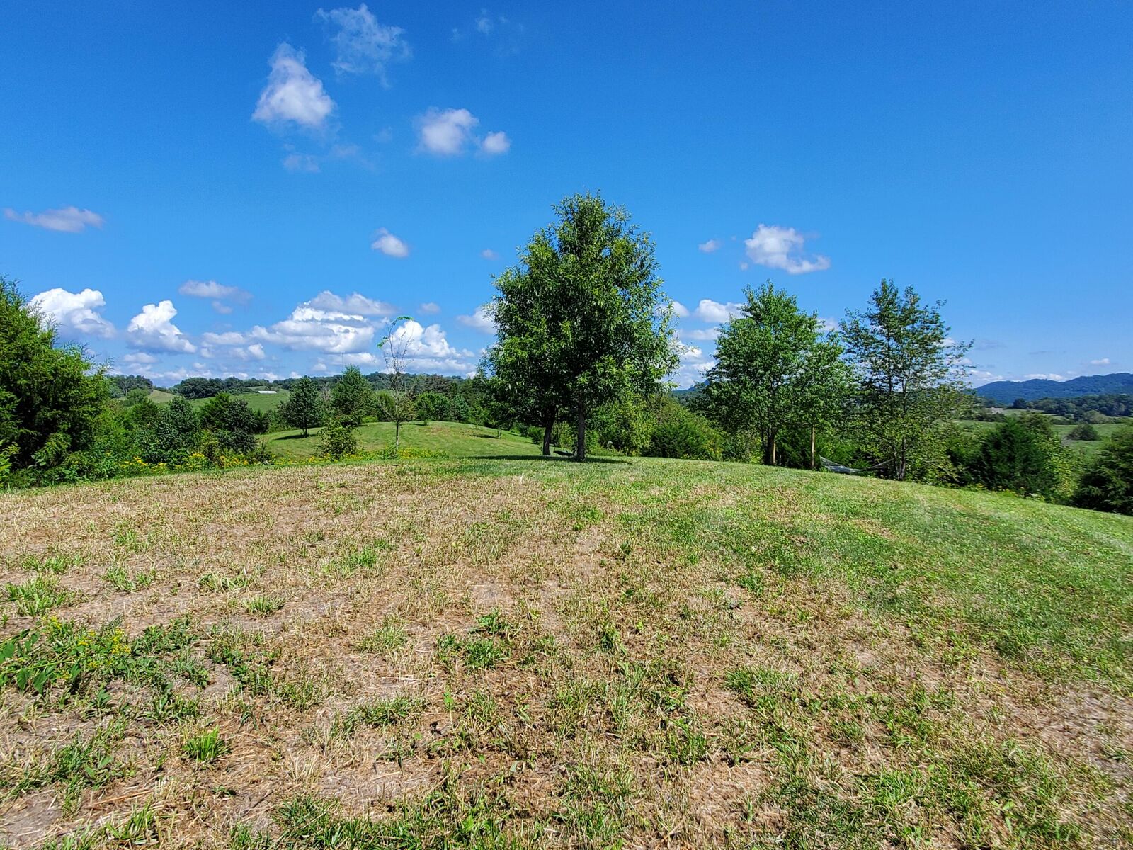 Property Photo: 11.03ac Baileyton Road TN 37745