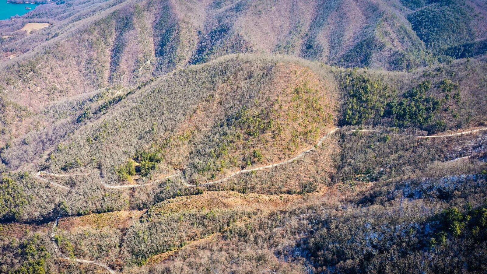 Property Photo:  Denniscove Dennis Cove Road  TN 37658 