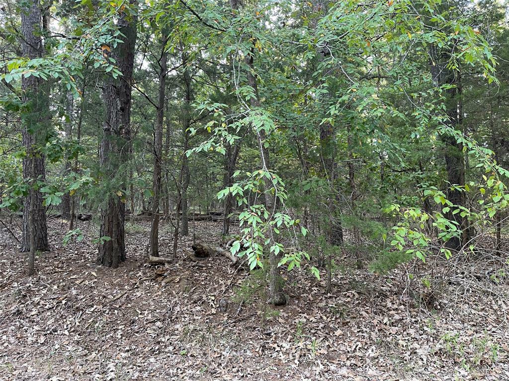 Property Photo:  00 Whispering Pine Trail S  TX 75457 