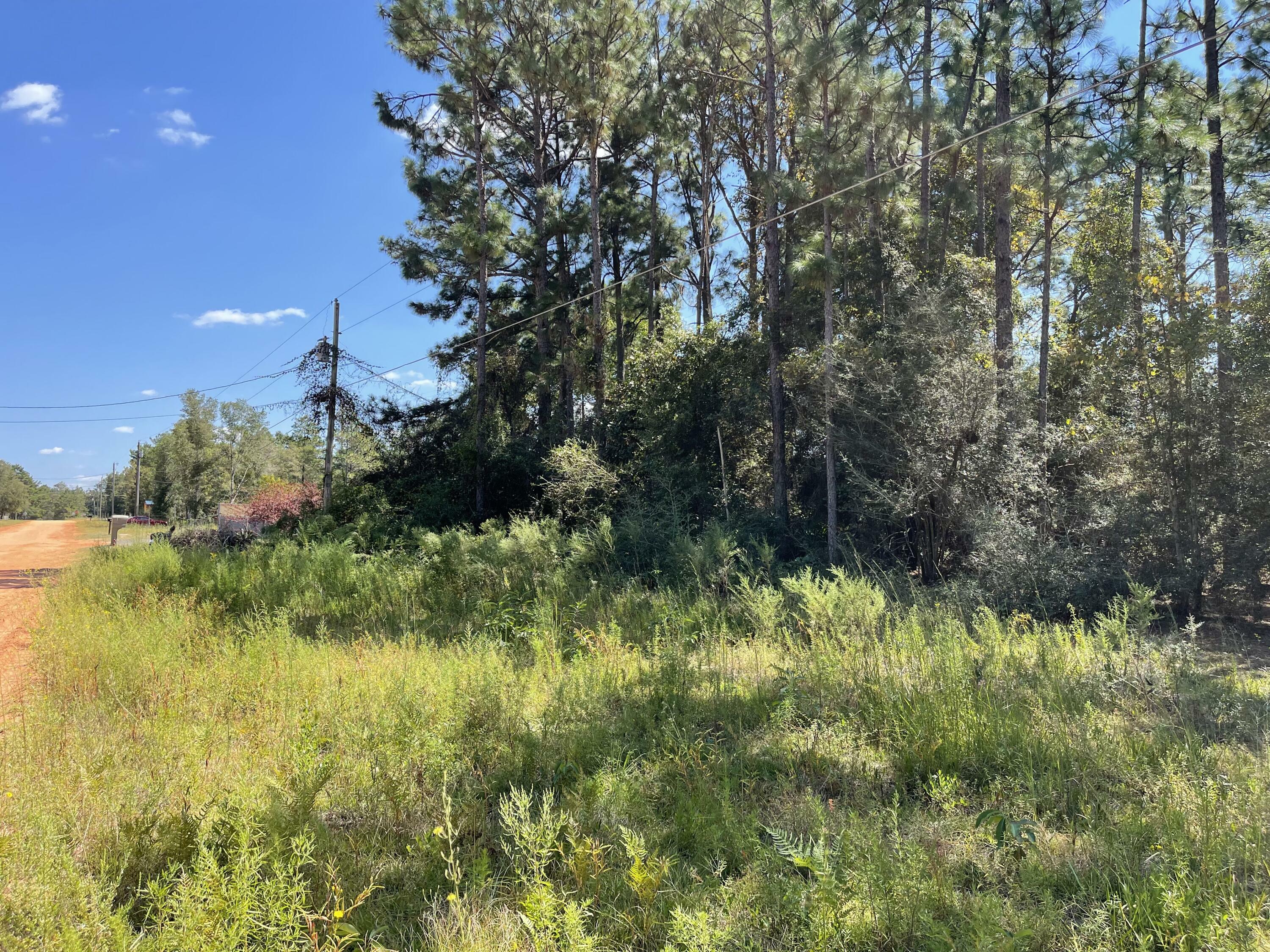 Property Photo:  Lot 6 W Poinsetta Avenue  FL 32433 