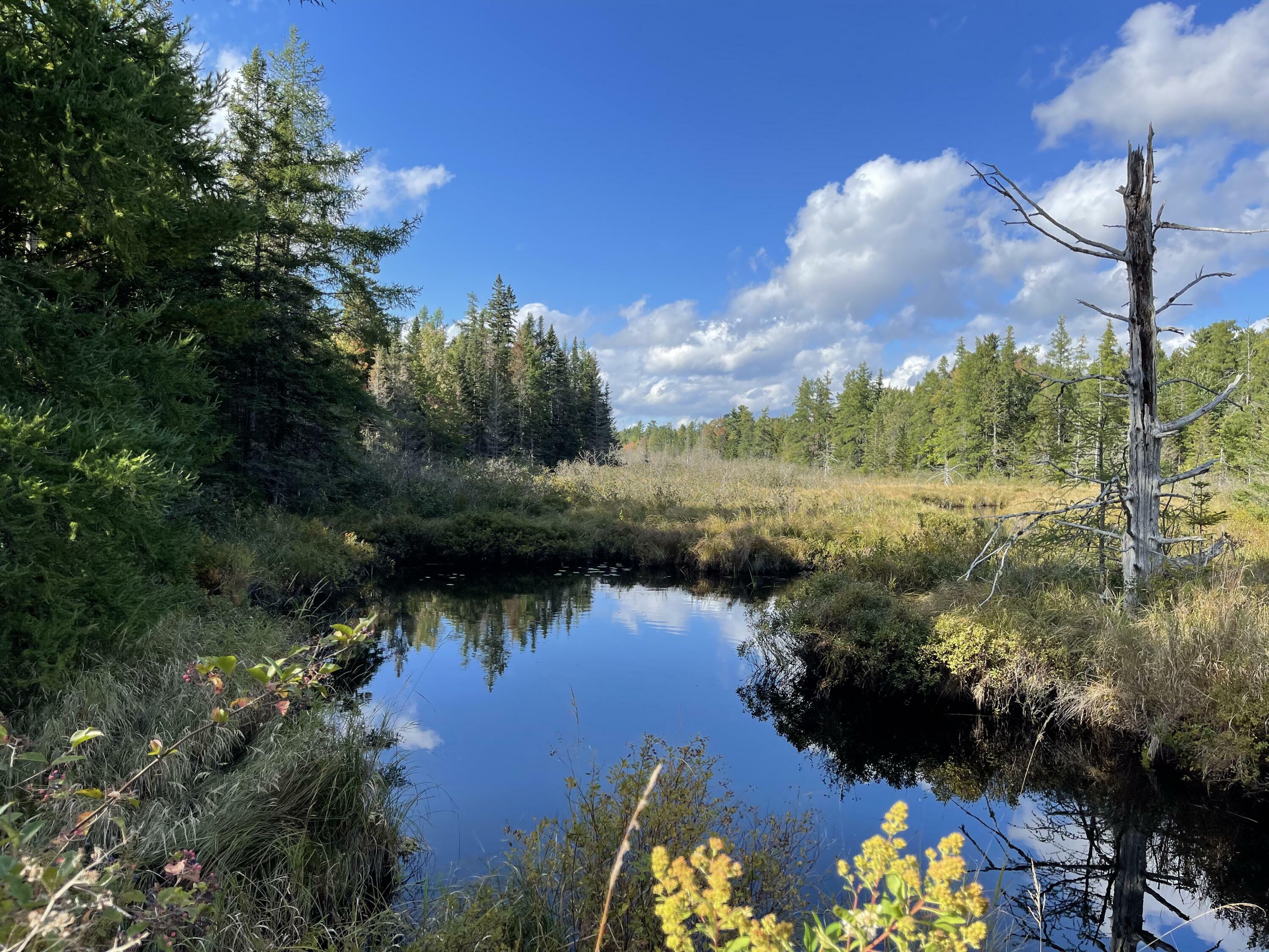 Property Photo:  2148 Northfield Road  ME 04654 