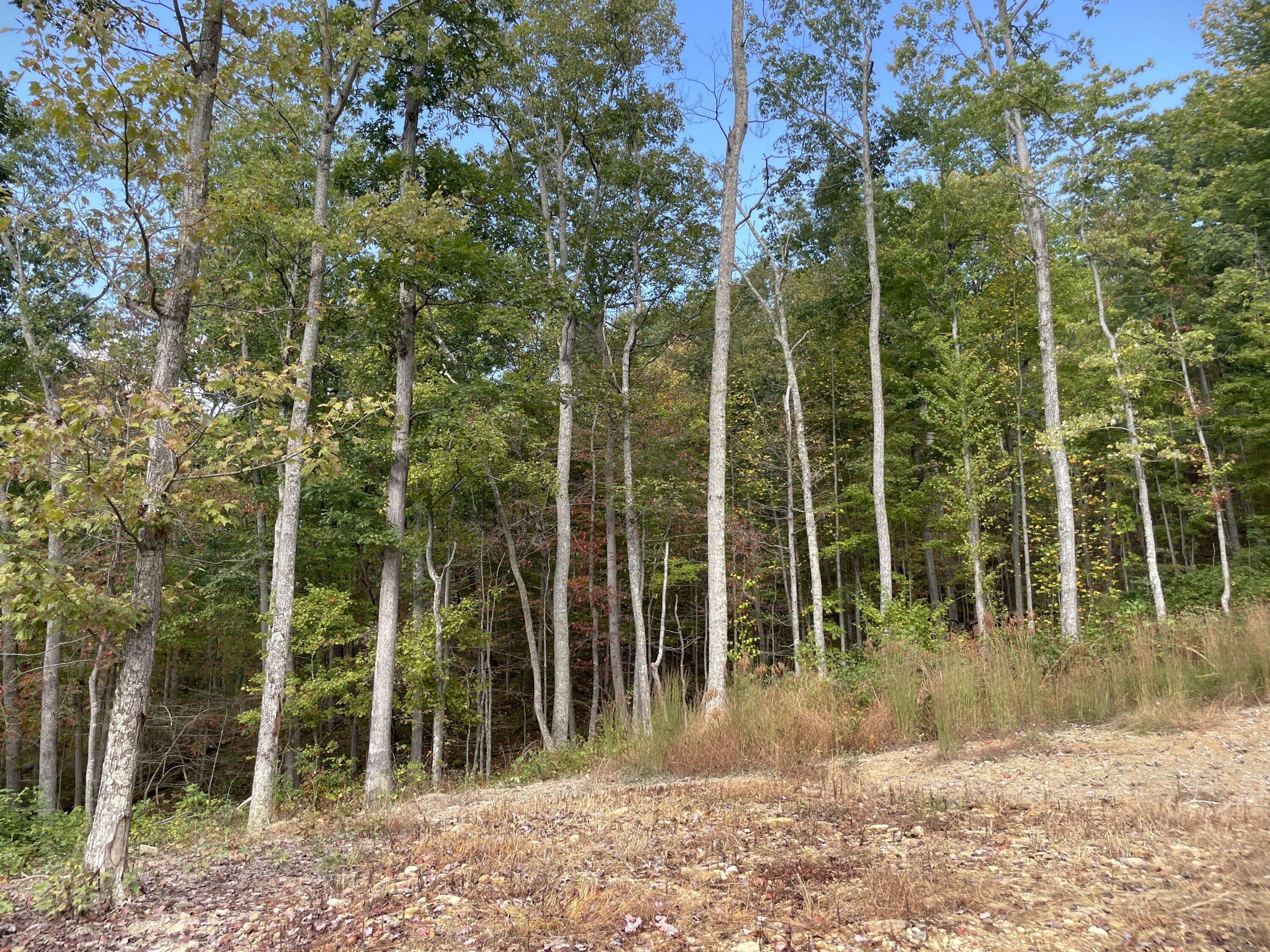 Property Photo:  5742 SR 781 Lot# 10  OH 45660 