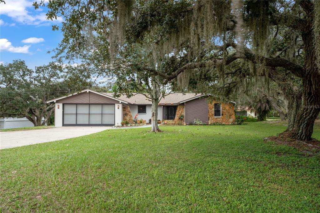 Property Photo:  18831 Maple Leaf Drive  FL 34667 