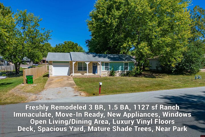 142 W Factory Street  Gassville AR 72635 photo