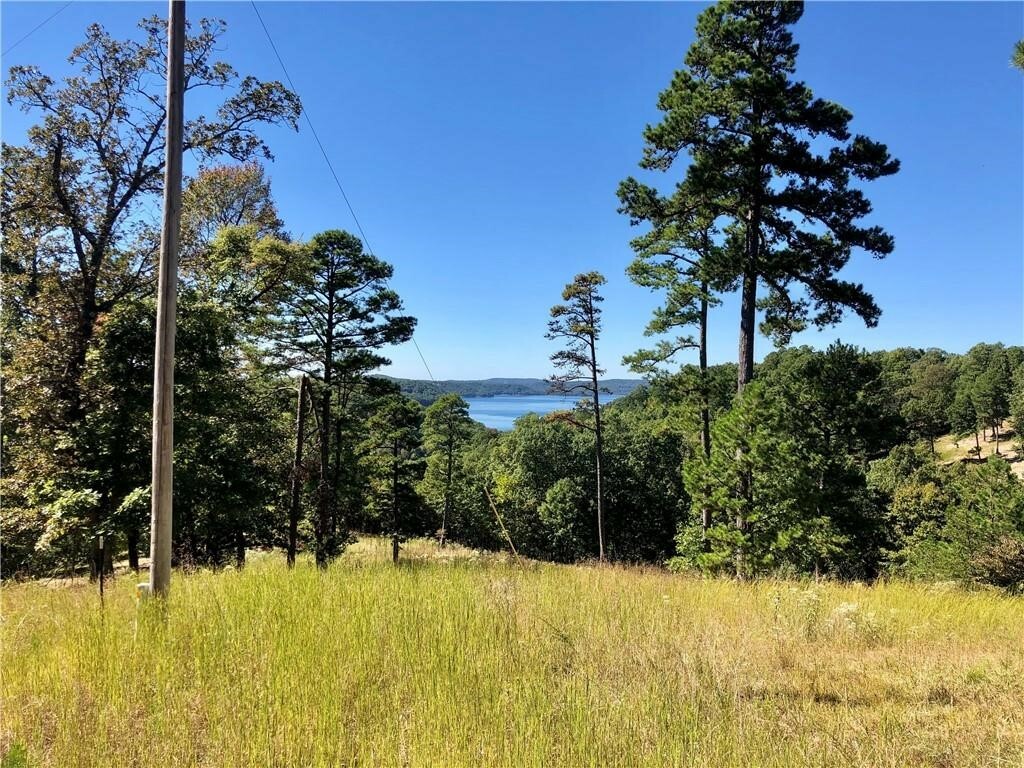 Property Photo:  159 Lakeview Bend  AR 72632 