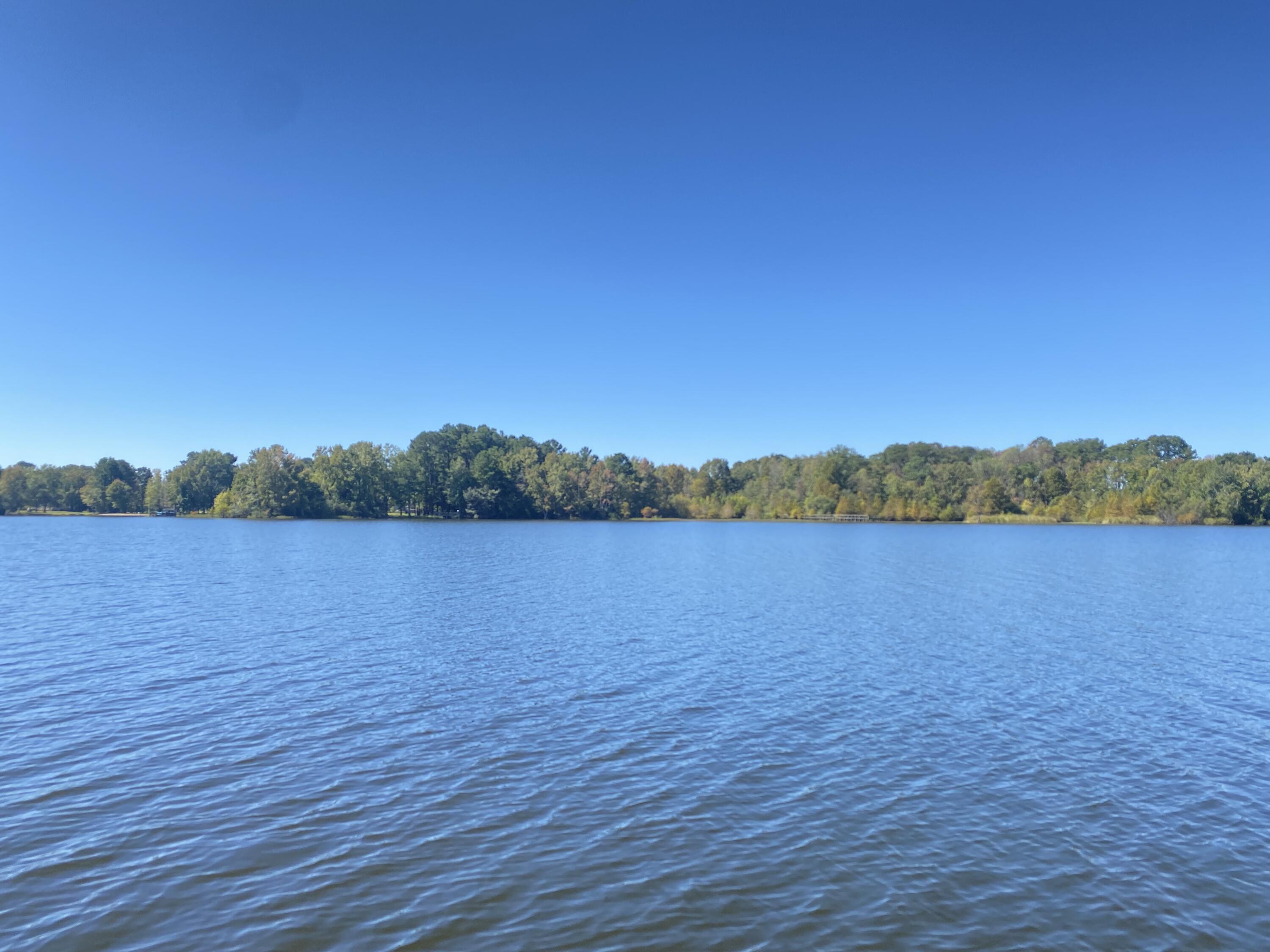 Property Photo:  3750 William Brunson Road  SC 29148 