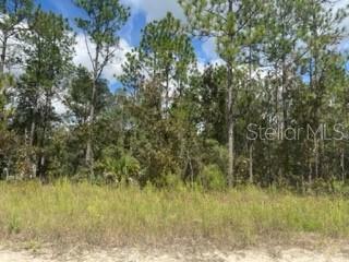 Property Photo:  Lot 7 SW 91st Lane  FL 34432 