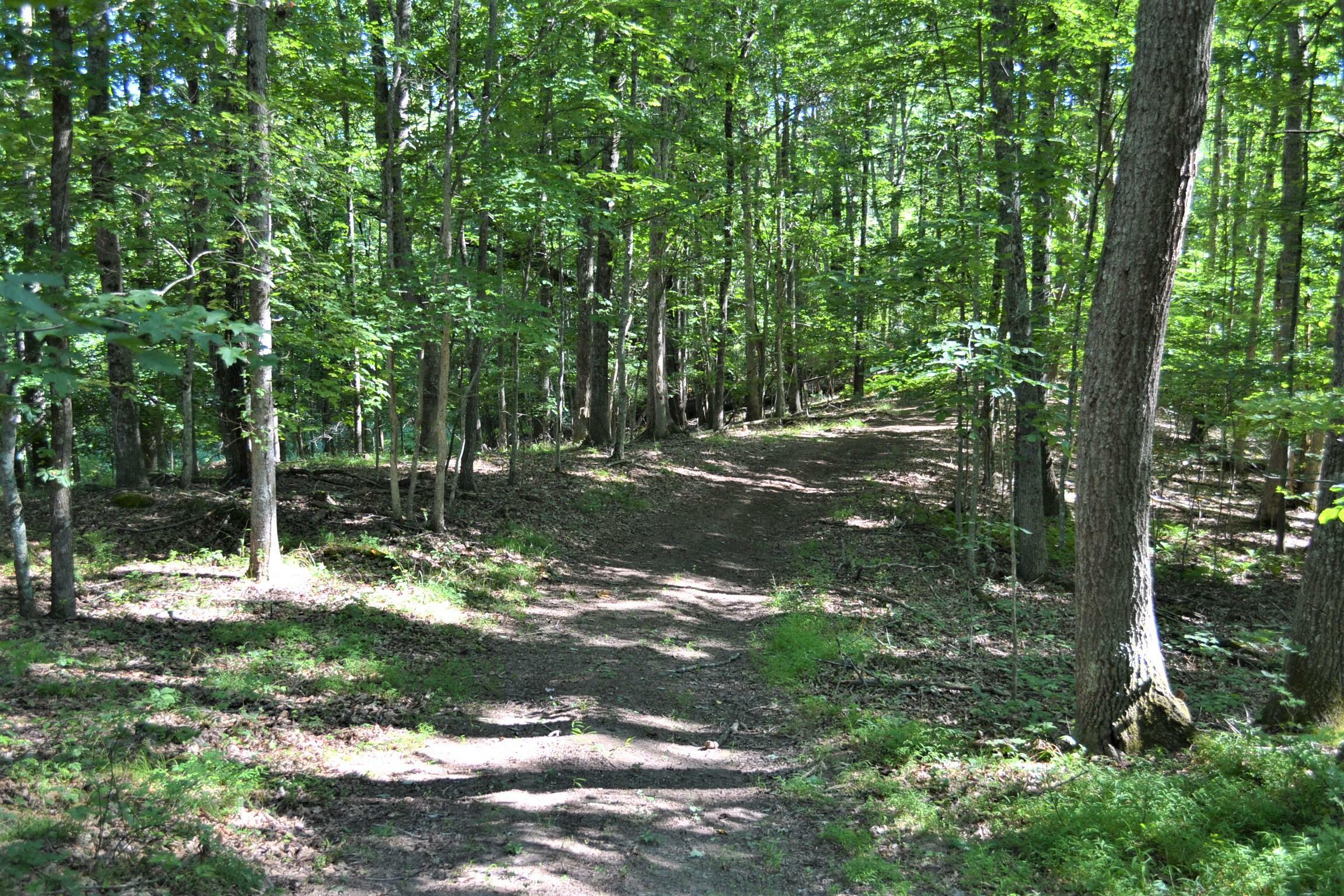 Property Photo:  Brush Rd  WV 24901 