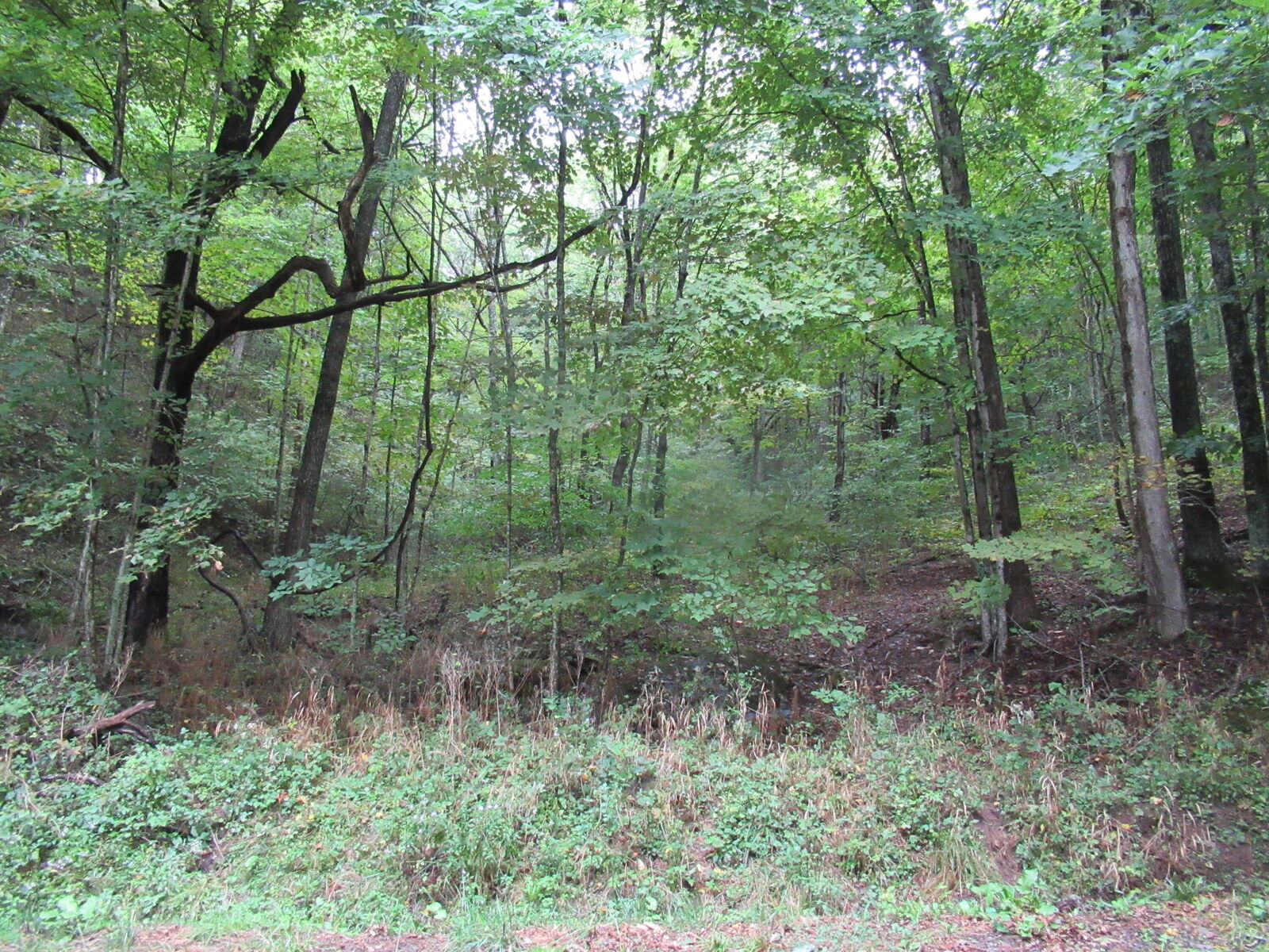 Property Photo:  Dougher Knob Rd  WV 24977 