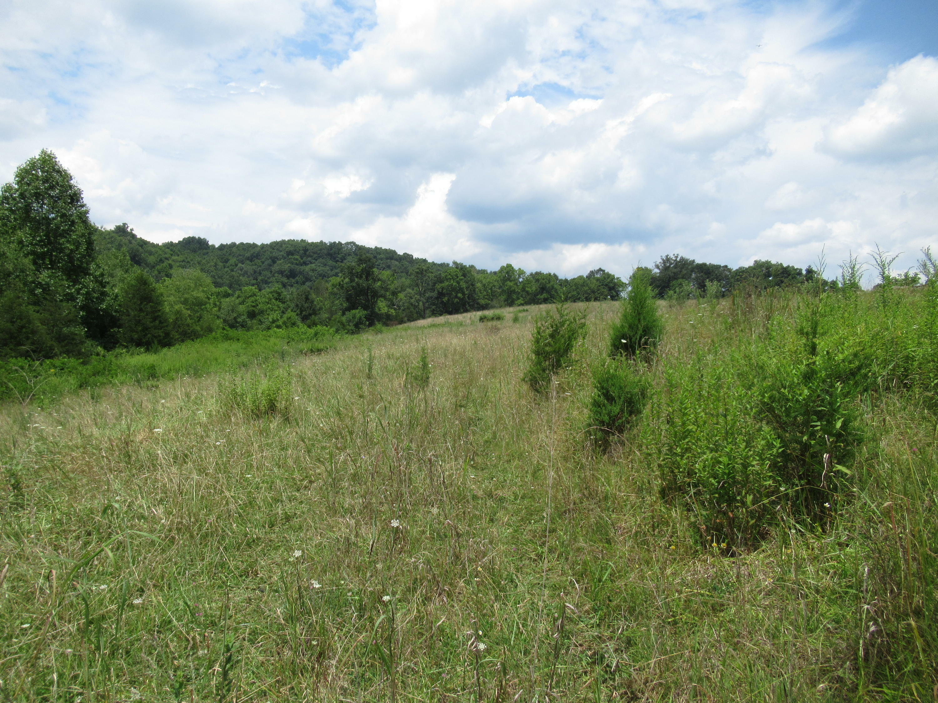 Property Photo:  Seneca Trail North  WV 24976 