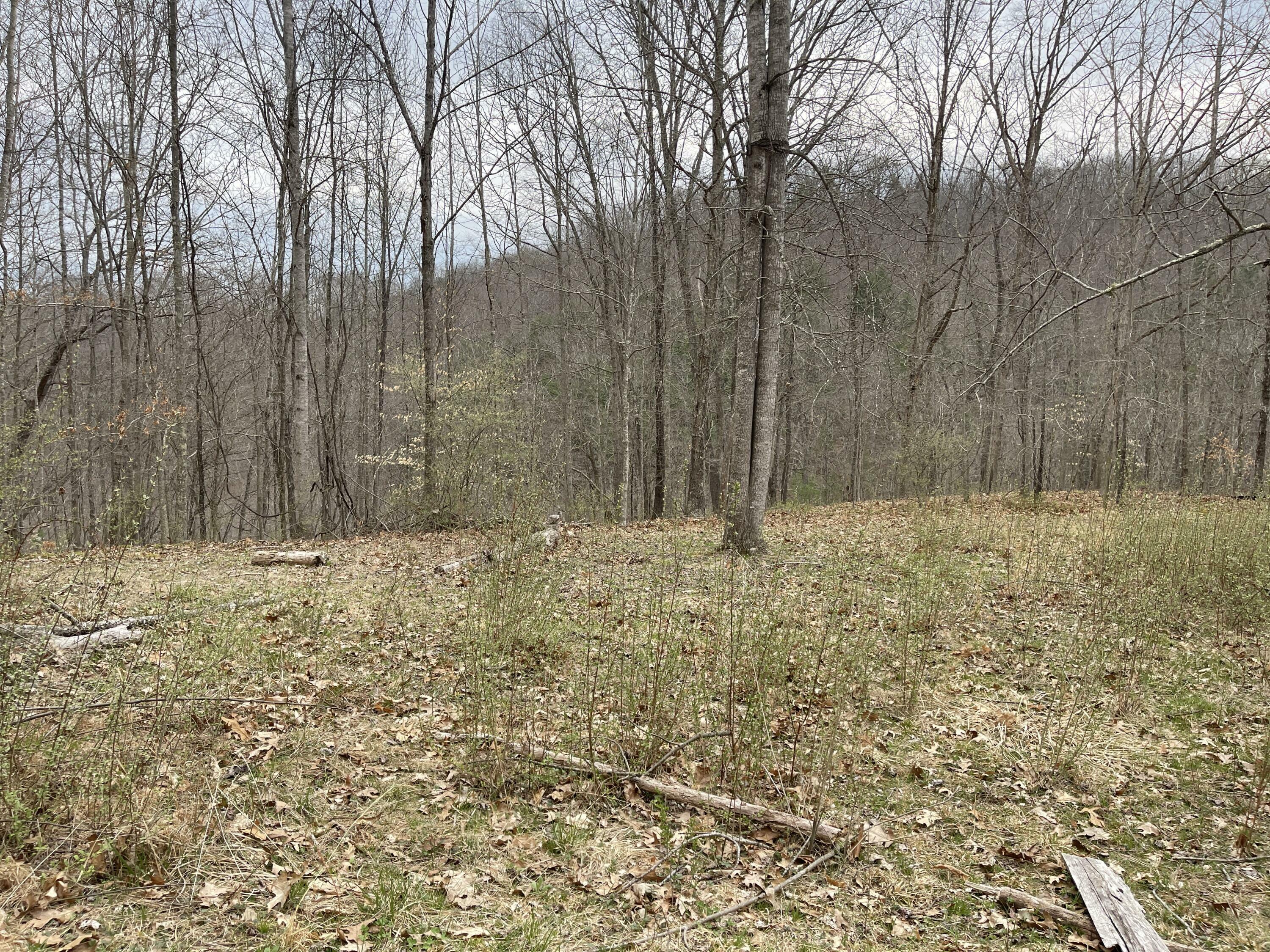 Property Photo:  1595 Buckeye Rd  WV 24966 