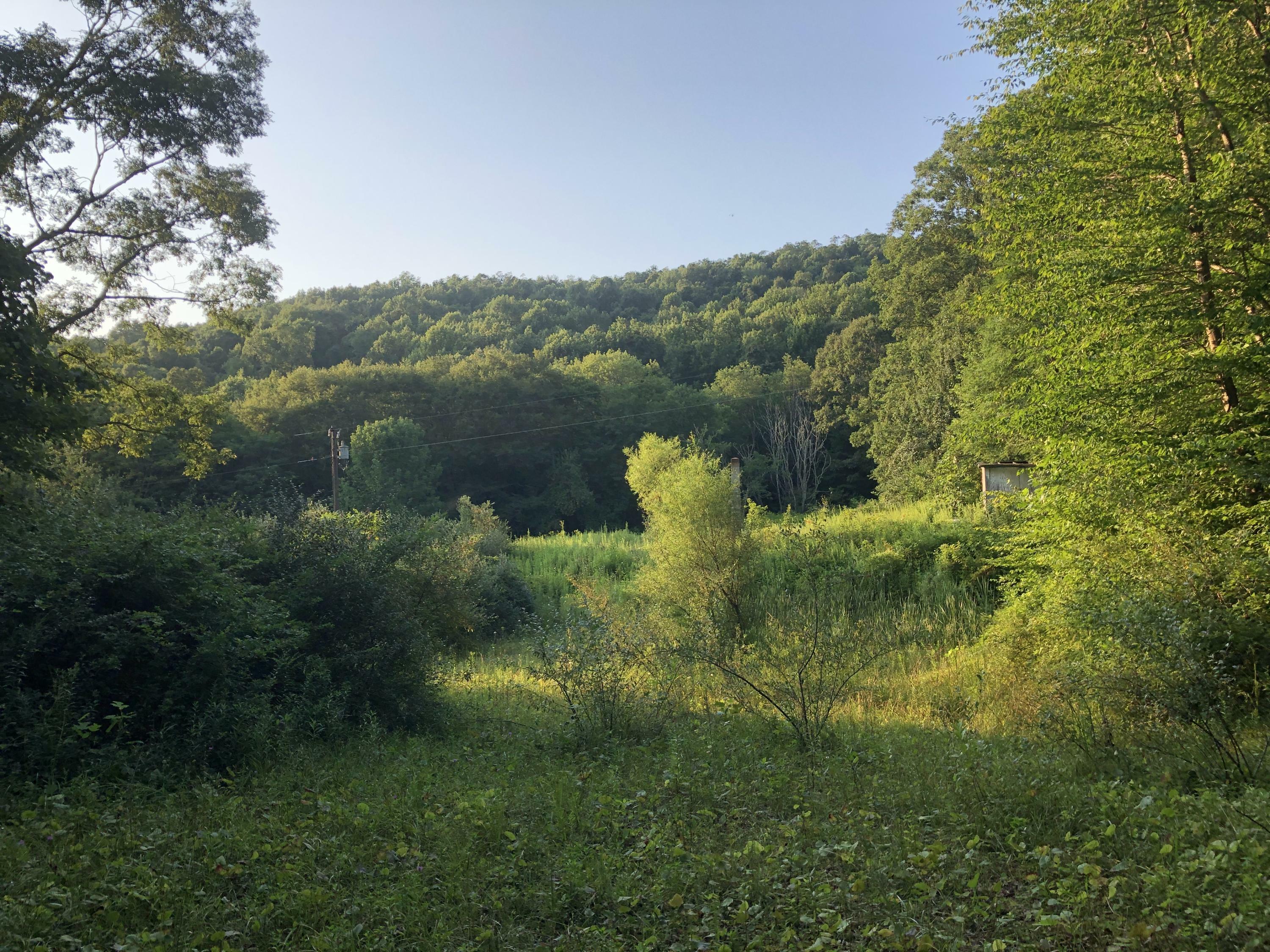 Property Photo:  James River And Kanawha Turnpi  WV 25962 