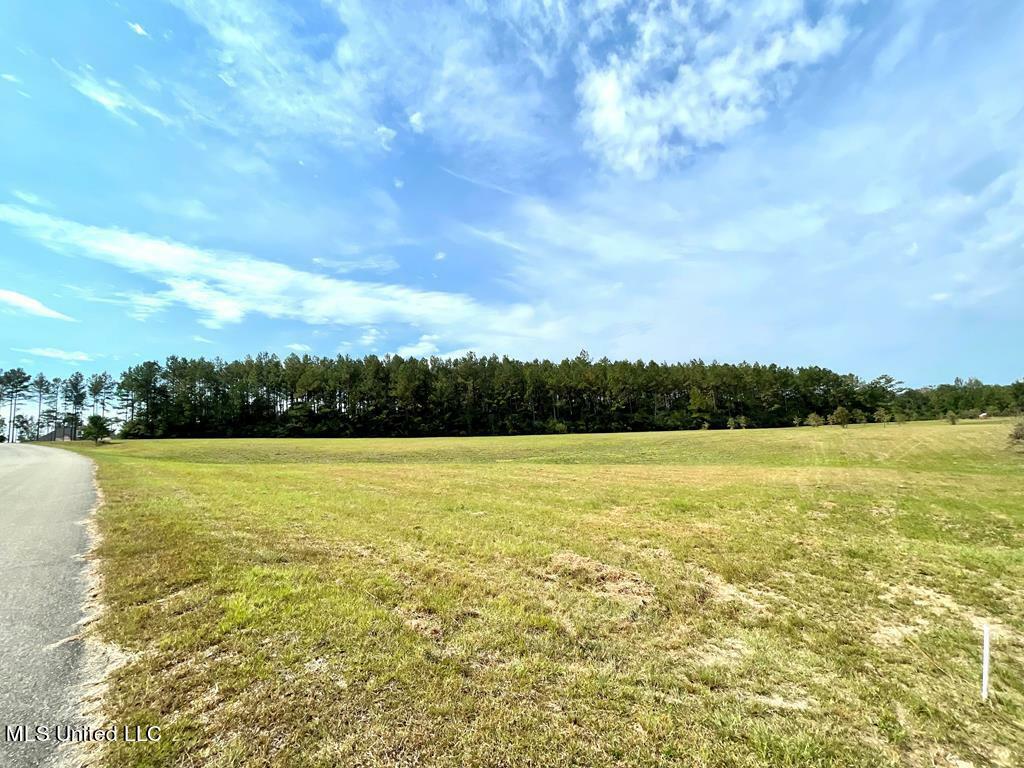 Property Photo:  0 W Slope Drive  MS 39426 