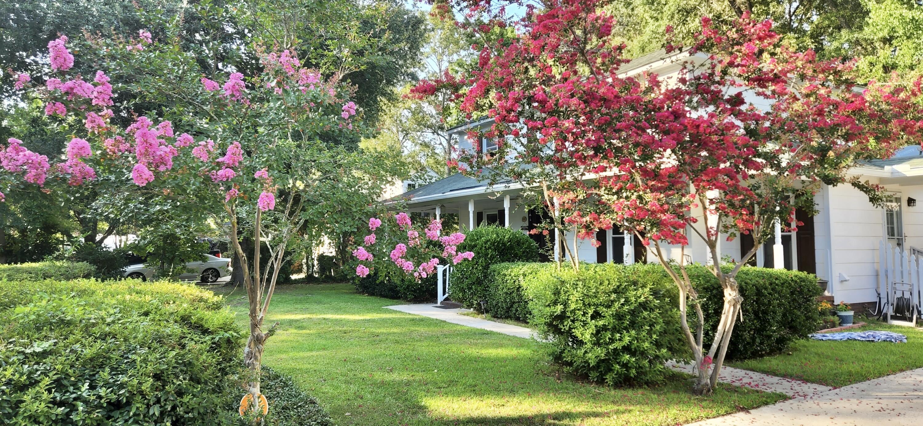 Property Photo:  112 Sweetbriar Road  SC 29485 