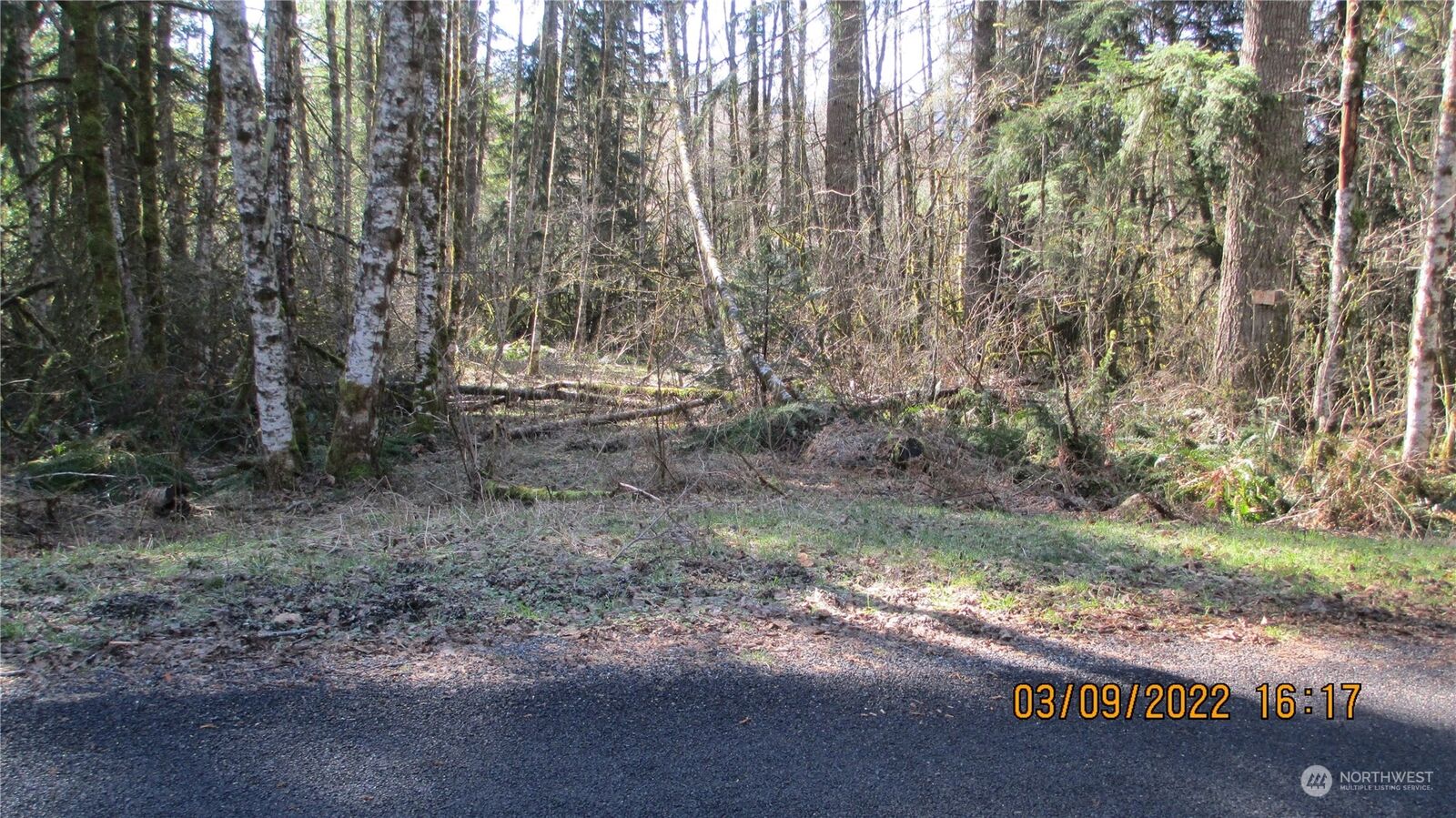 Property Photo:  55014 315th Avenue E  WA 98304 