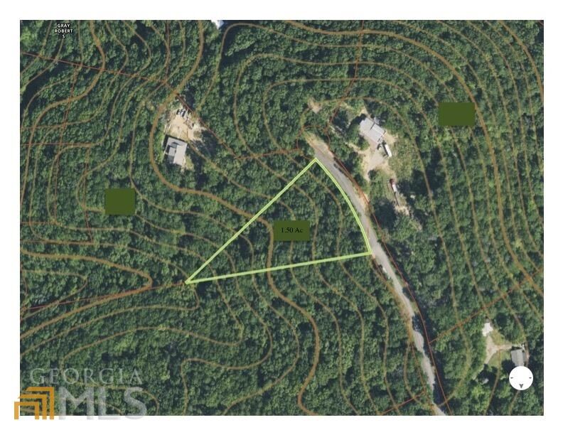 Property Photo:  1.50ac Family Acres Lane  GA 30143 