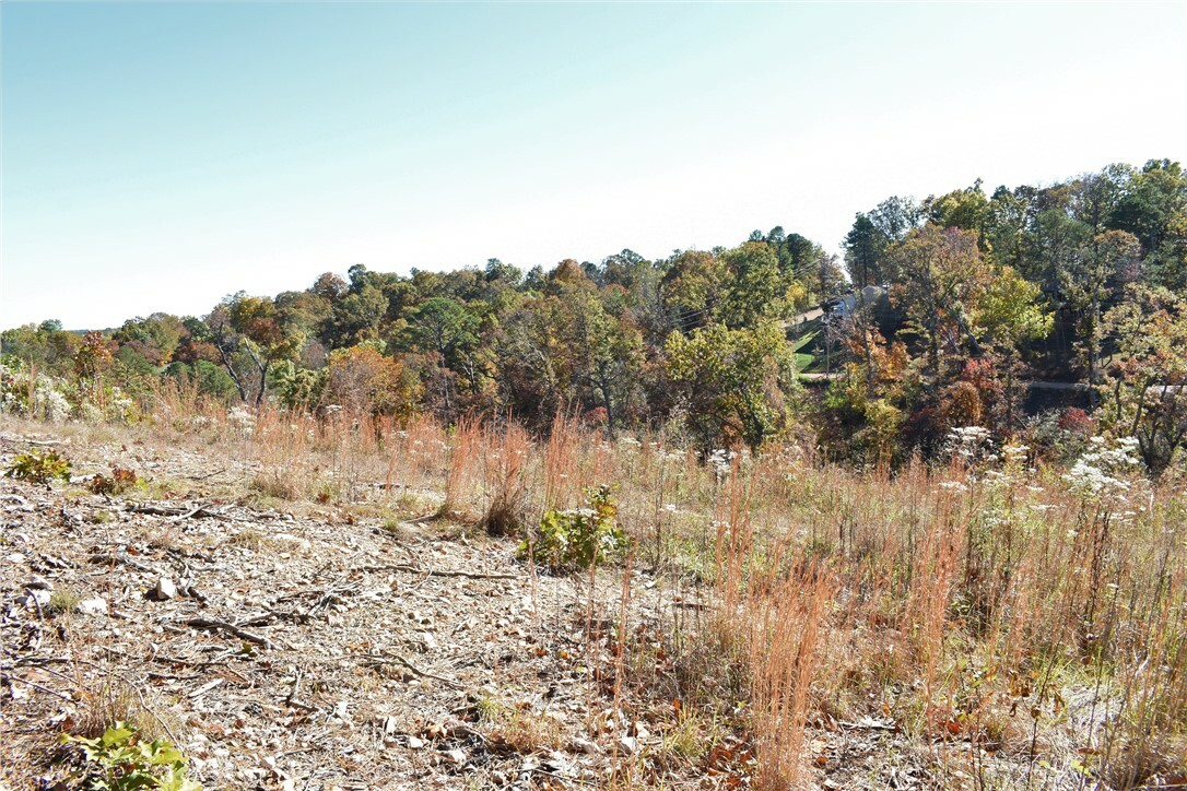 Property Photo:  Lot 13 Old White River Road  AR 72756 