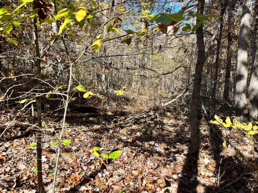 Property Photo:  Lot 10 Eddy Lane  AR 72715 