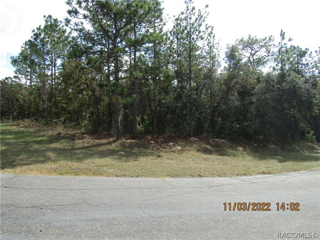 Property Photo:  3238 N Sheriff Drive  FL 34465 