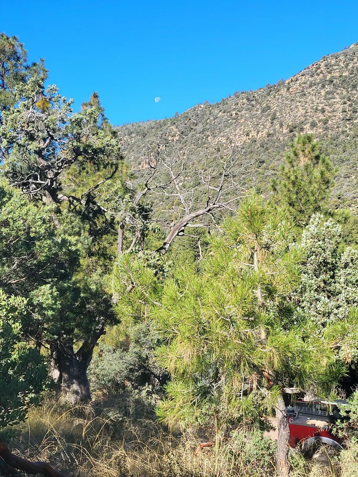 Property Photo:  Lot 163 Portal Drive  AZ 85544 