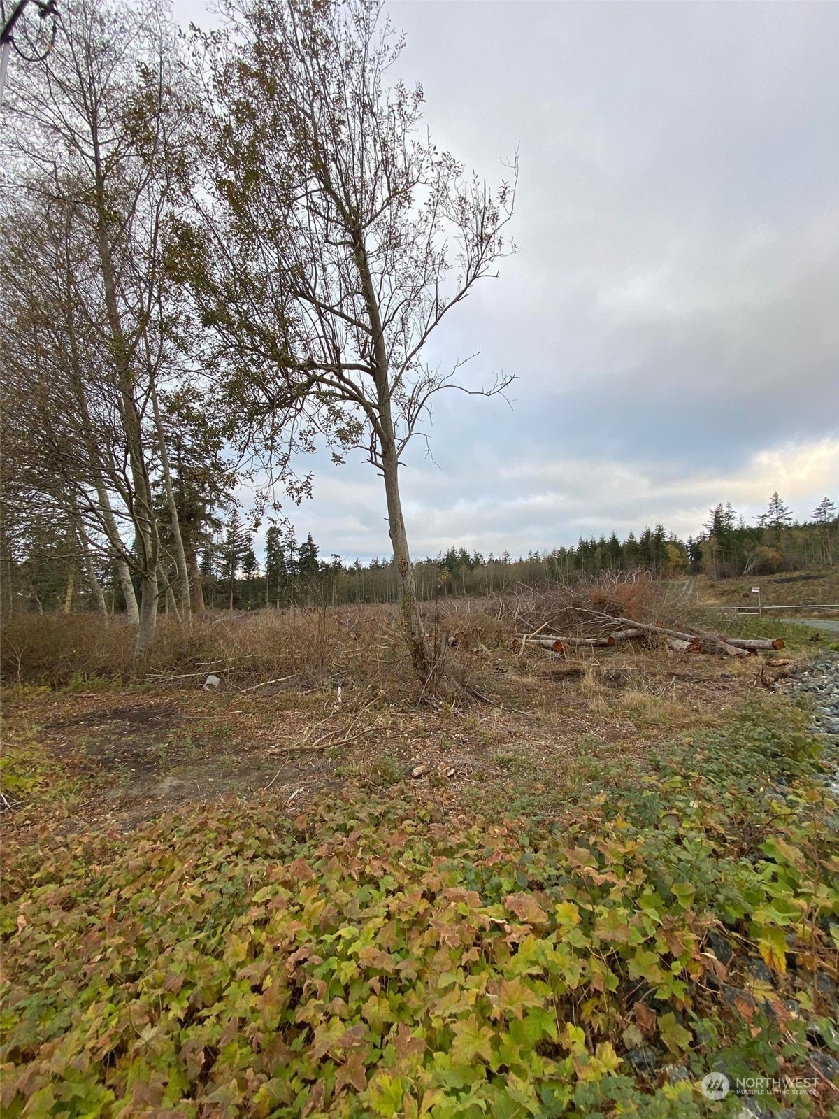 Property Photo:  0 Hastie Lake Road  WA 98277 