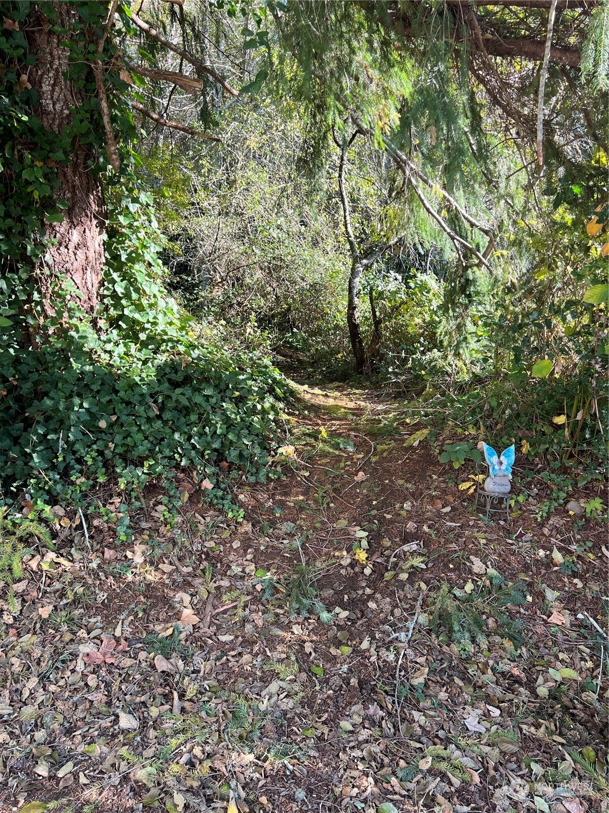 Property Photo:  0 N Summit Road  WA 98557 