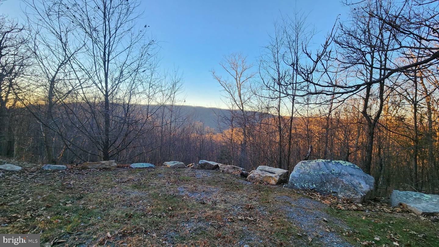 Property Photo:  Lot 15A Sparrow Hill Road  WV 25434 