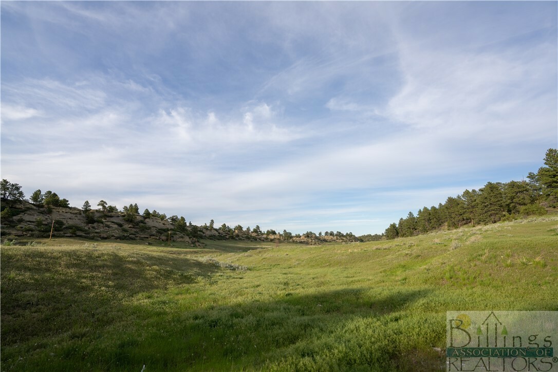 Property Photo:  Lot 37 Olive Lane  MT 59105 