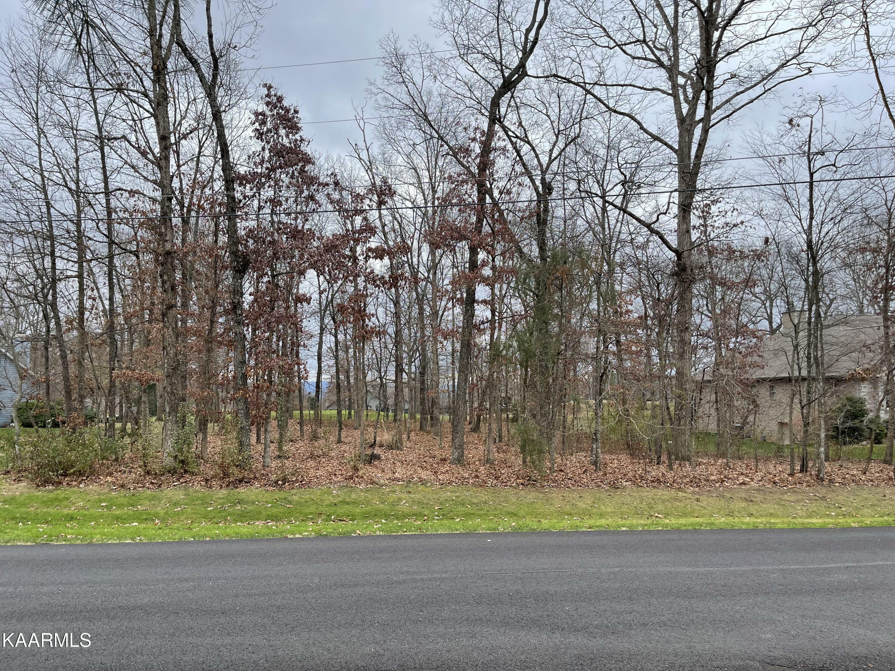 Property Photo:  116 Stonewood Drive  TN 38558 