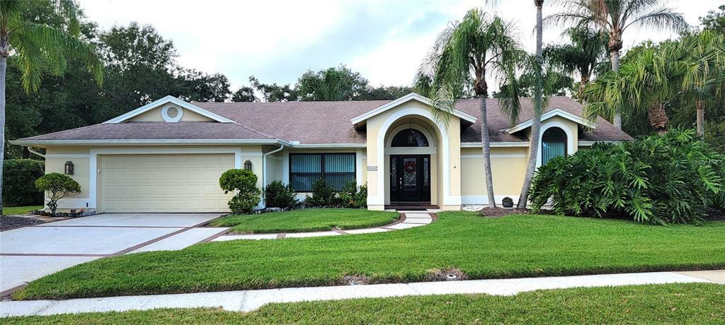 505 Hickorynut Avenue  Oldsmar FL 34677 photo