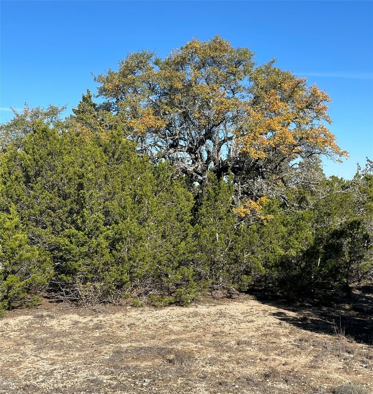Tbd S Park Road  Wimberley TX 78676 photo