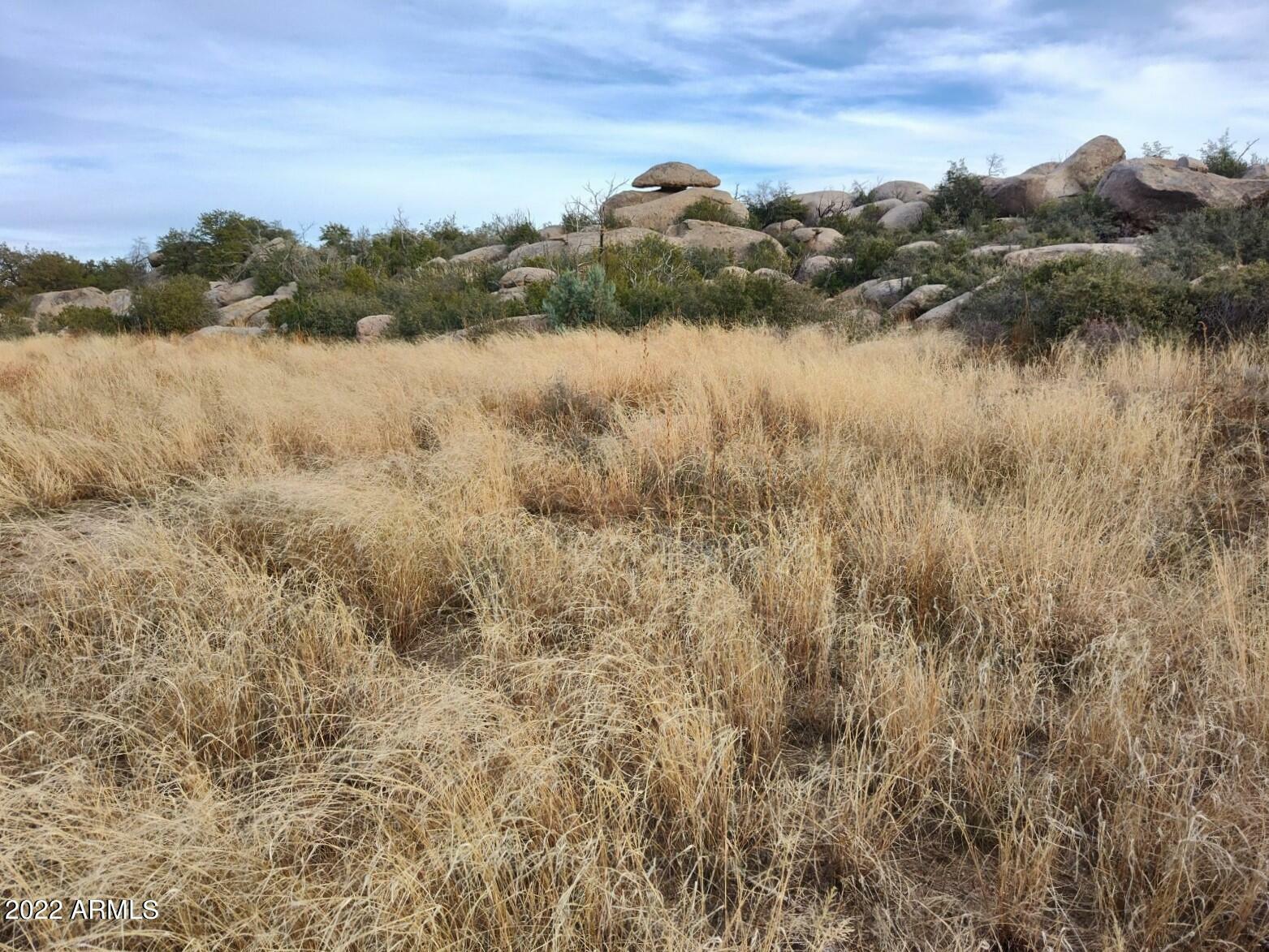 Property Photo:  22903 S Lakewood Court  AZ 85362 