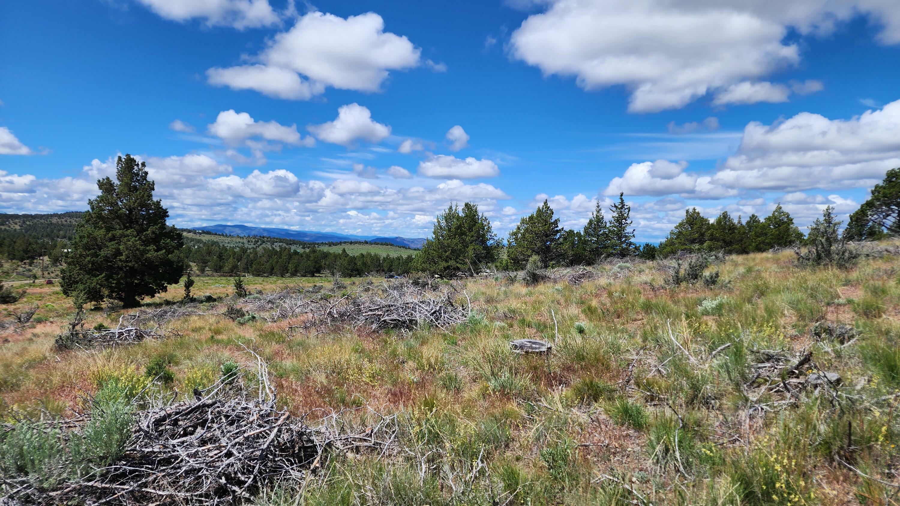 Property Photo:  Tbd SE Pony Springs Road  OR 97754 