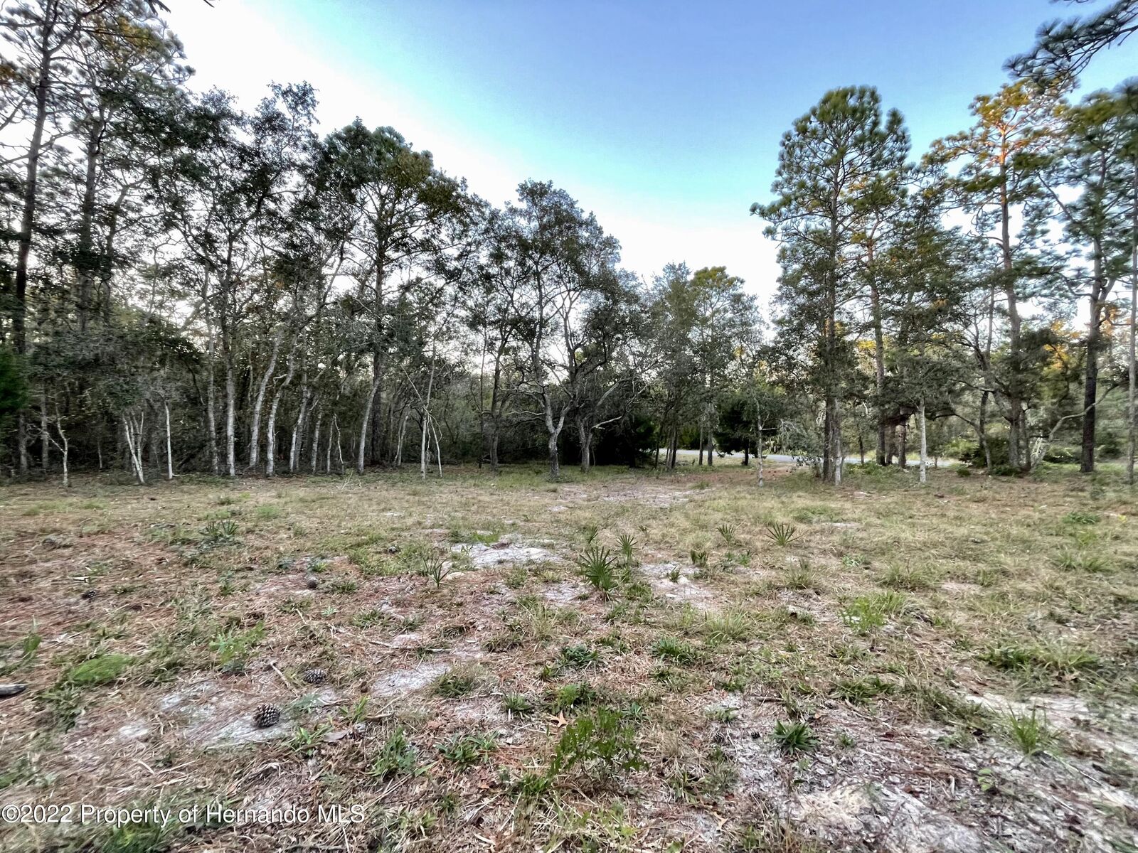 Property Photo:  9098 Michigan Avenue  FL 34613 