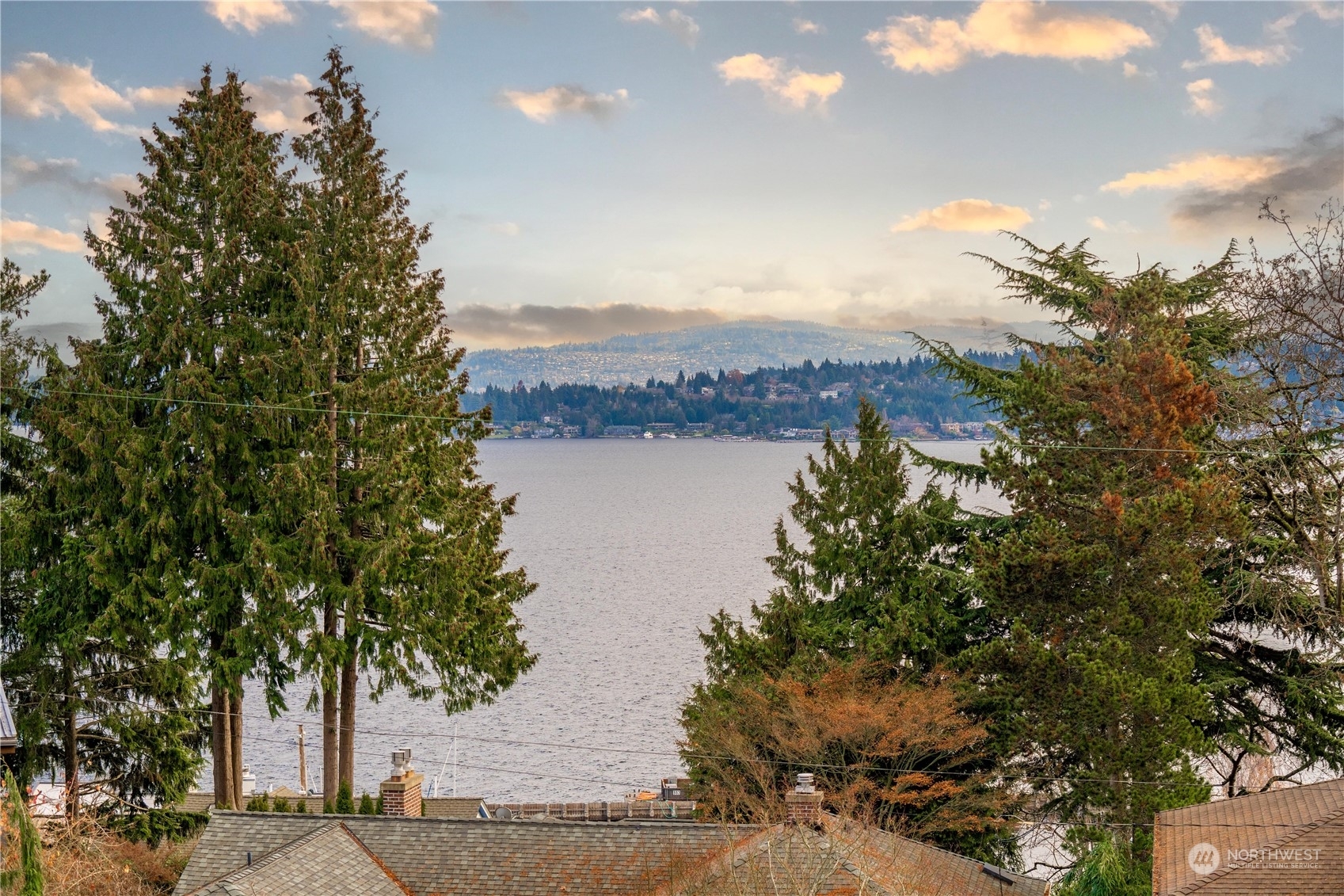 Property Photo:  333 Randolph Avenue  WA 98122 