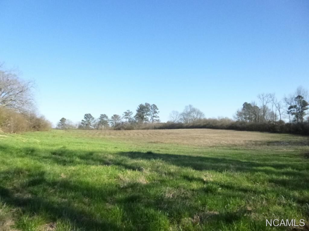 Property Photo:  0 Co Rd 652  AL 35083 - HOLLY PO