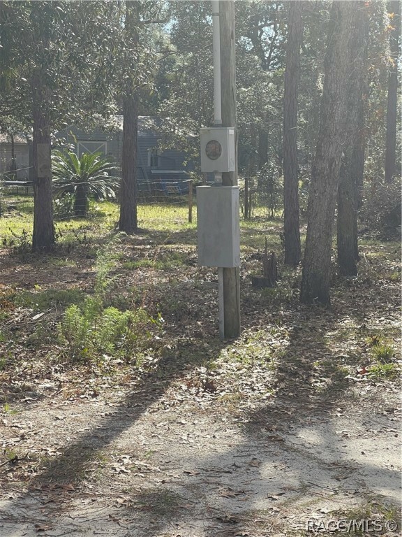 Property Photo:  4736 W Bobby Court  FL 34461 