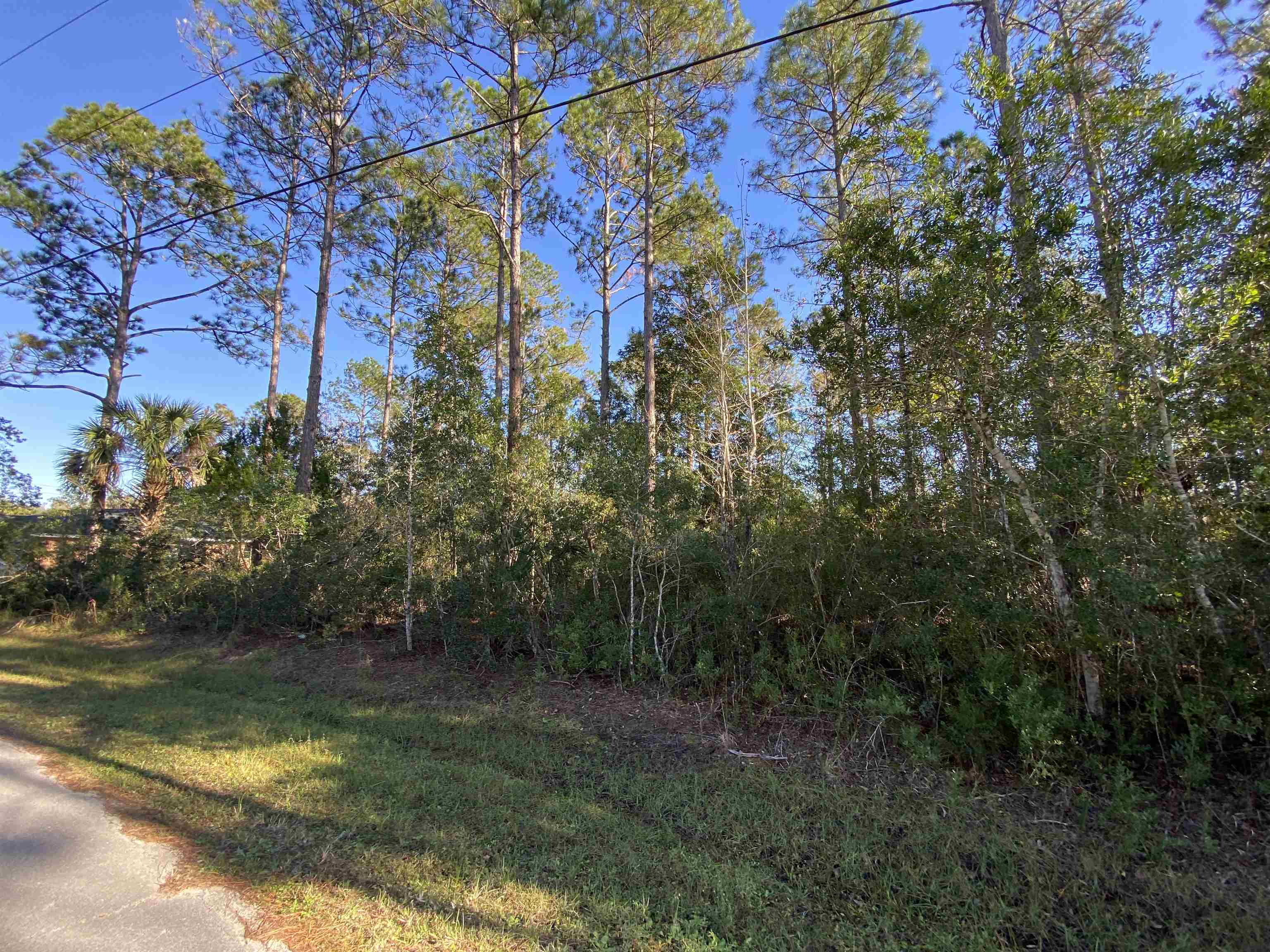 Property Photo:  106 Slumber Meadow Trl  FL 32164 