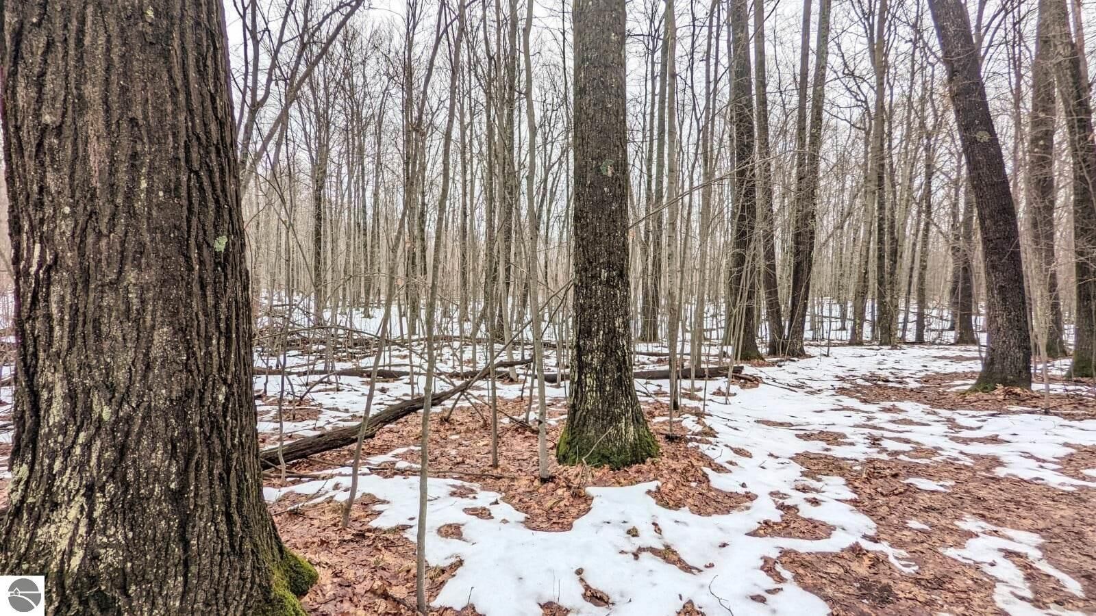 Property Photo:  0 N Peacock Trail  MI 49304 