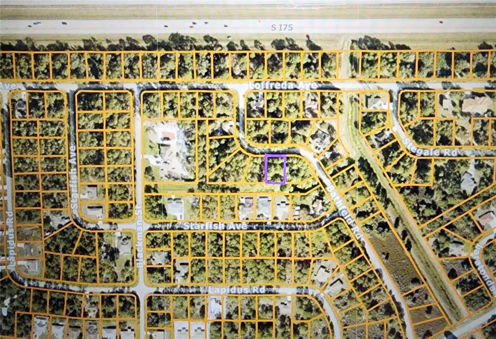 Property Photo: Bathfeld Road FL 34291