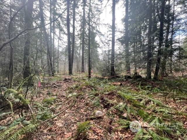 Property Photo:  19207 Lot 2 Lake Francis Road SE  WA 98038 