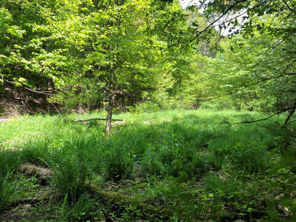 Property Photo:  700-750 Gypsy Camp Hollow Rd  PA 16686 
