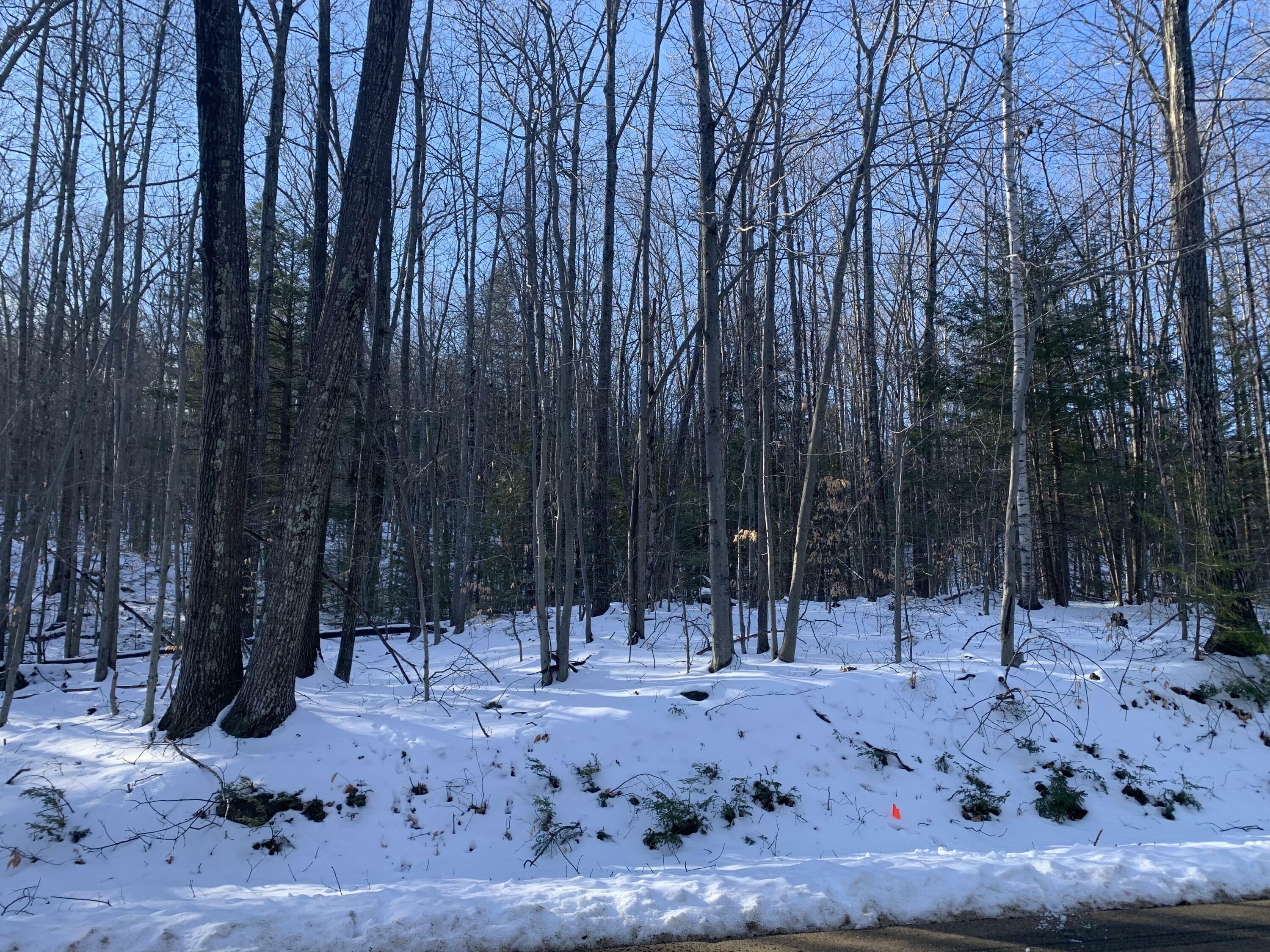 Property Photo:  Lot 55 Ford Quint Road  ME 03906 