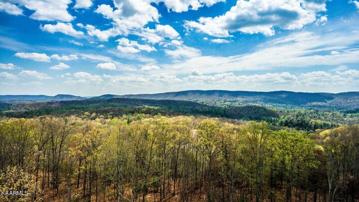Green Ridge Trails (Lot 48)  Harriman TN 37748 photo