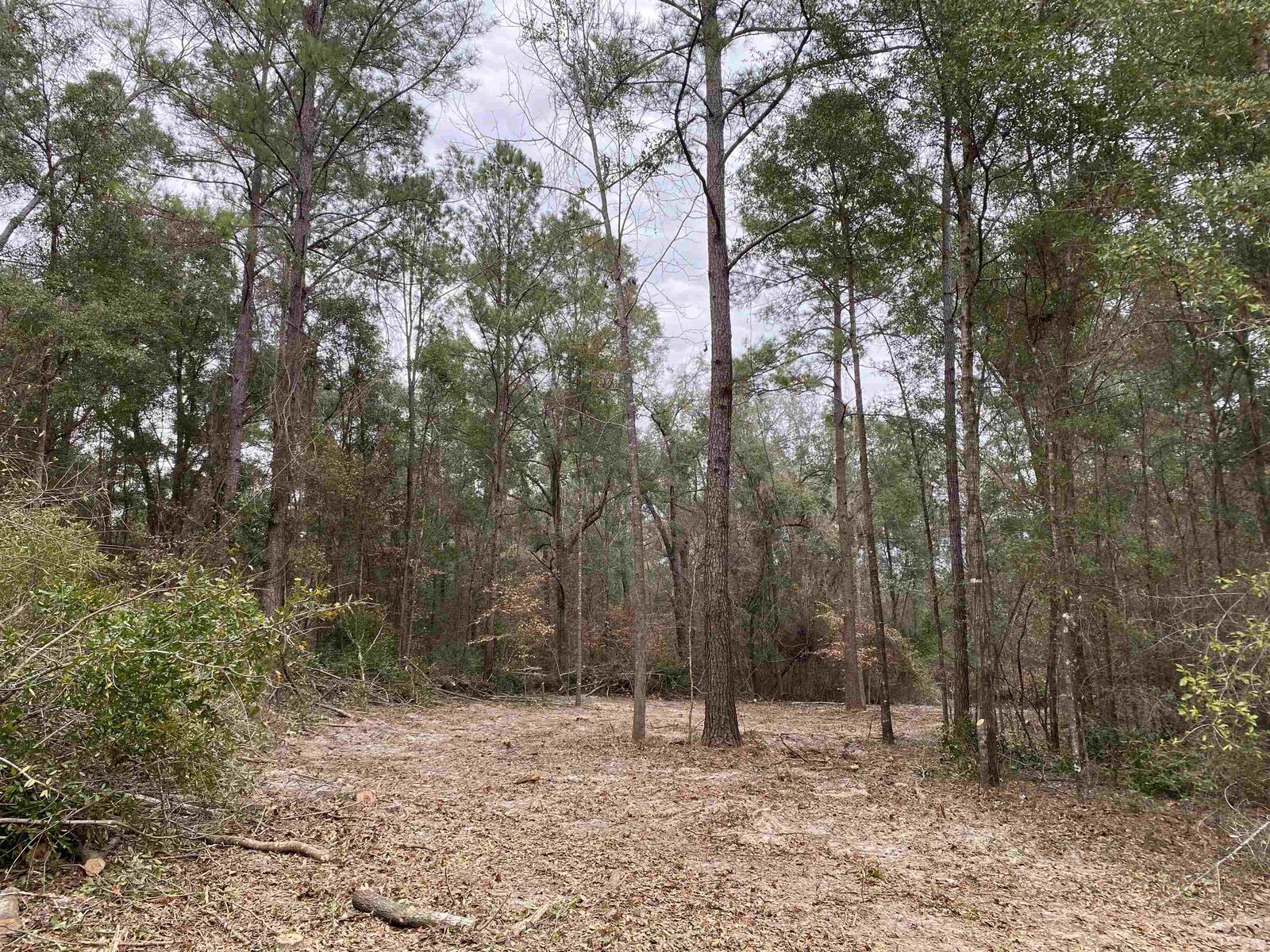 Property Photo:  Honeysuckle  FL 32327 