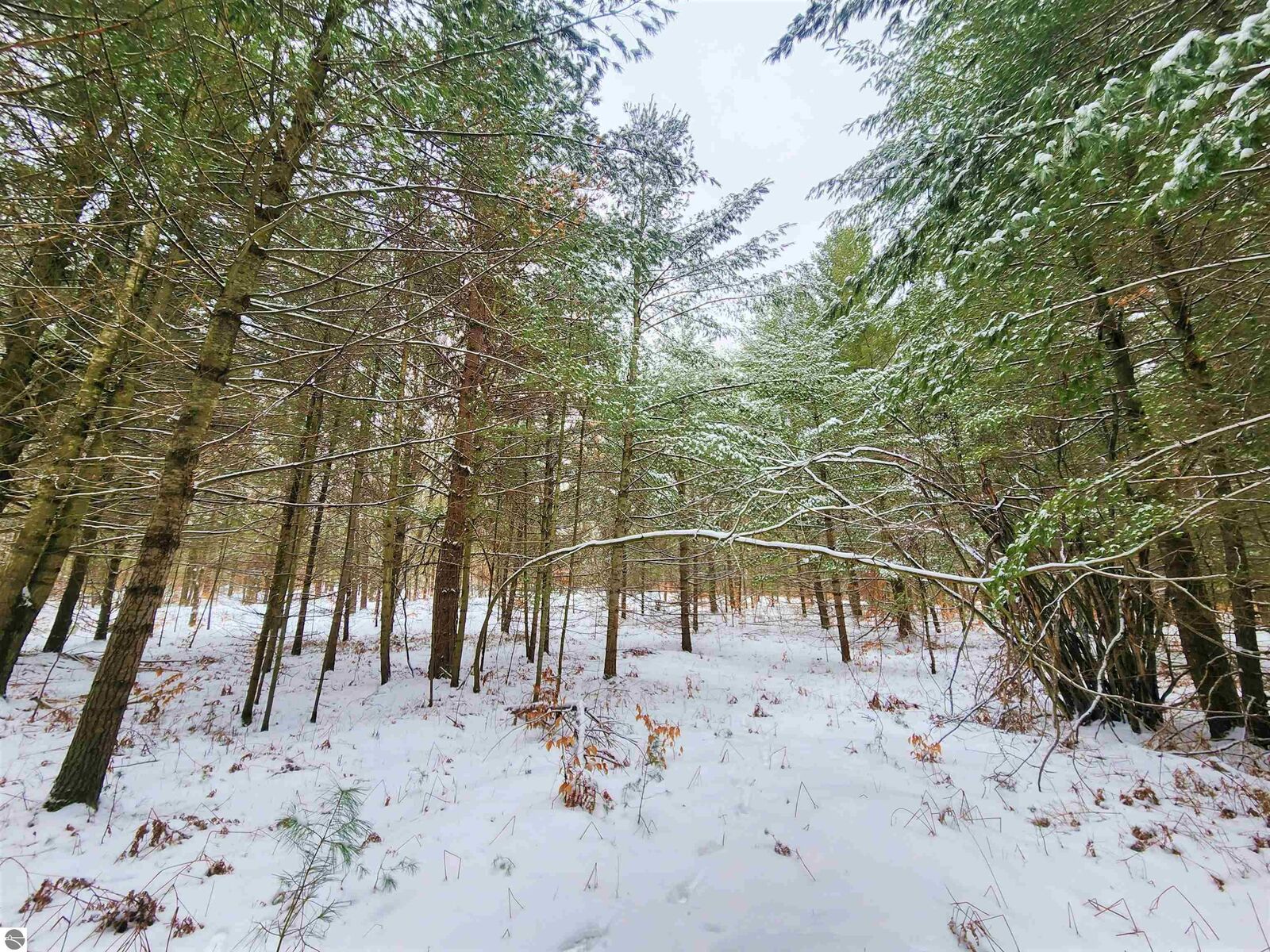 Property Photo:  Lot 44 Woodwind Drive  MI 49601 
