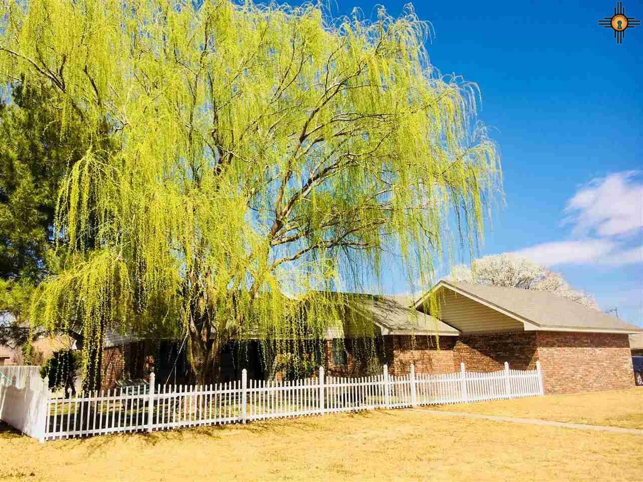 Property Photo: 3716 Nancy Lopez NM 88101