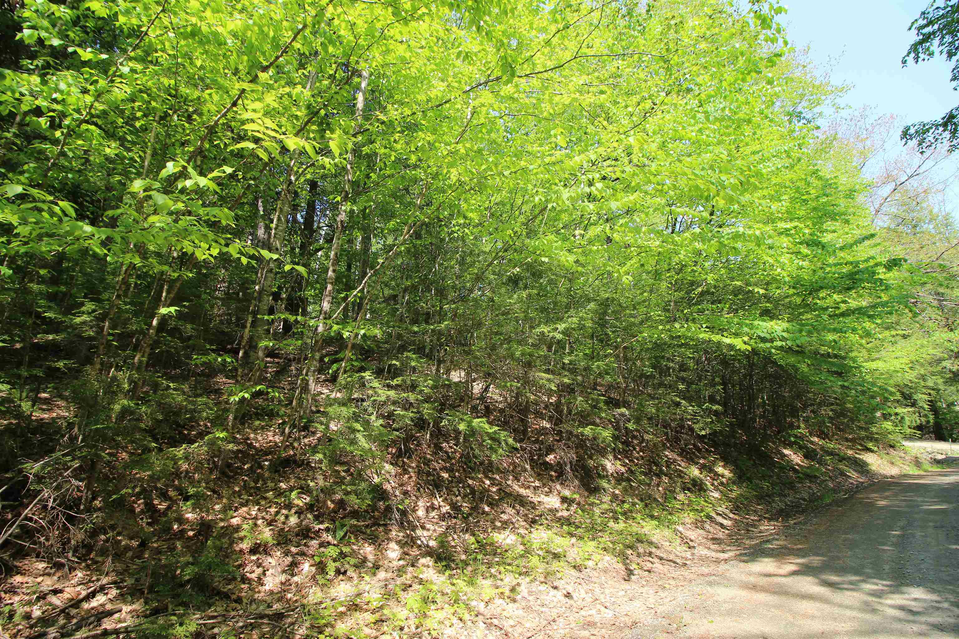 Property Photo: 201-071 Hanover Drive NH 03784