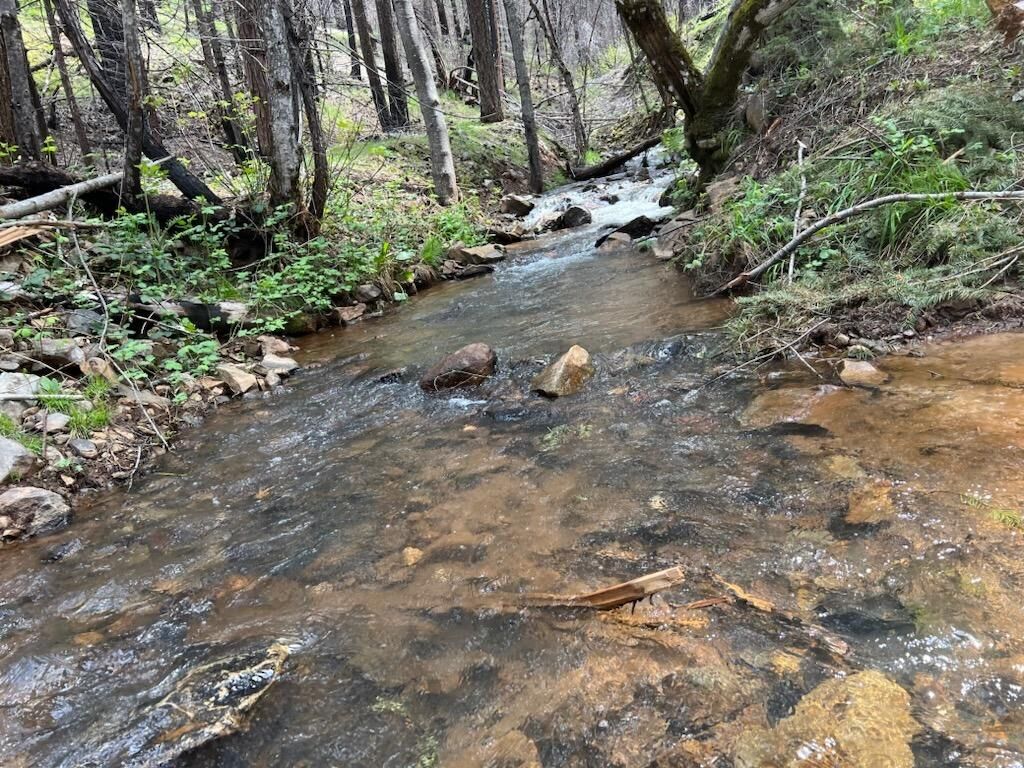 Property Photo:  10 Acres Blaze Trail  CA 95636 