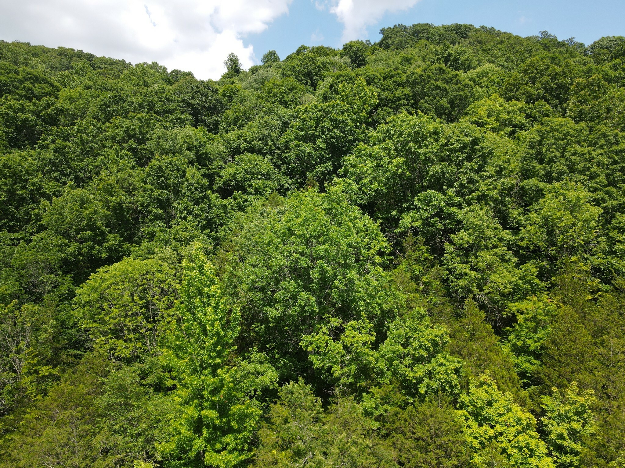 Property Photo:  3400 Sycamore Creek Rd  TN 37190 